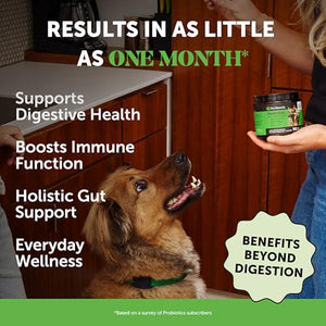 Probiotics for Dogs Digestive Enzymes Duck Flavor Chews for Gut Health Immunity Diarrhea 90 Count