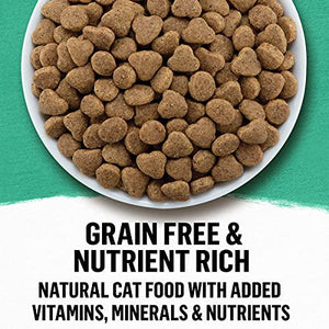 Purina Beyond Grain Free Dry Cat Food 3 lb Bag Whitefish and Egg Recipe with Added Vitamins and Minerals