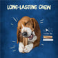 Purina Busy Bone Dog Chews, 10 Ct, Peanut Butter Flavor, Long-Lasting Treats for Adult Dogs