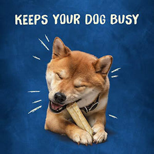Purina Busy Rawhide Rollhide Dog Bones, 9 Ct, Small/Medium Breeds, Long-Lasting Chew Treats