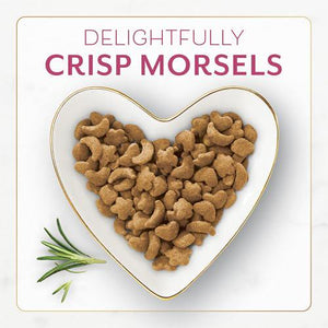 Purina Fancy Feast Filet Mignon Flavor Dry Cat Food with Seafood and Shrimp 7 lb Bag