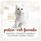 Purina Fancy Feast Tender Beef Feast Classic Wet Cat Food Pate 3 oz Cans Pack of 24