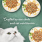 Purina Fancy Feast Wet Cat Food Medleys Primavera Variety Pack 2 Packs of 12 Cans Each 3 oz Gourmet Adult Cat Food with Essential Nutrients