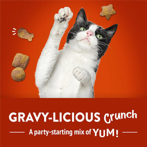 Purina Friskies Party Mix Cat Treats Chicken and Gravy Flavor 20 oz Crunchy Snack Pouch