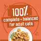 Purina Friskies Wet Cat Food Gravy Variety Pack 5.5 oz Cans Pack of 40 Chunky Bits Filets Meaty Mix