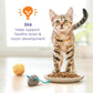 Purina Kitten Chow Dry Cat Food 14 lb Bag Complete Balanced Nutrition for Growing Kittens
