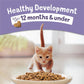 Purina Kitten Chow Dry Cat Food 14 lb Bag Complete Balanced Nutrition for Growing Kittens