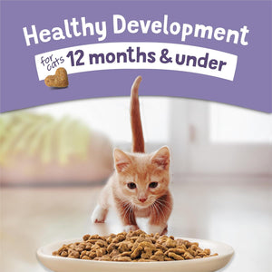 Purina Kitten Chow Dry Cat Food 14 lb Bag Complete Balanced Nutrition for Growing Kittens