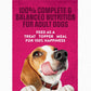 Purina Moist & Meaty Dog Food, 36 Ct Pouches, Steak Flavor, Soft Meal Packs for Dogs