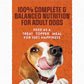 Purina Moist and Meaty Soft Dog Food 36 Pouches Burger with Cheddar Cheese Flavor