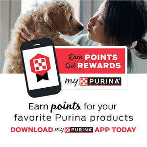 Purina Moist and Meaty Soft Dog Food 36 Pouches Burger with Cheddar Cheese Flavor
