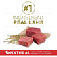 Purina ONE Lamb & Rice Dry Dog Food, High Protein, 31.1 lb Bag, Supports Muscle & Immune Health