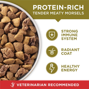 Purina ONE Lamb & Rice Dry Dog Food, High Protein, 31.1 lb Bag, Supports Muscle & Immune Health