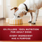 Purina ONE True Instinct High Protein Wet Dog Food with Beef and Salmon Gravy 13 oz Cans Pack of 12