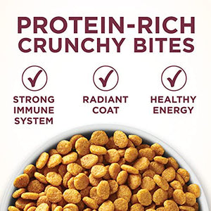 Purina ONE Urinary Tract Health Dry Cat Food High Protein Formula 16 lb Bag