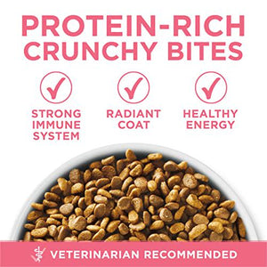Purina One Kitten Food High Protein Chicken Plus Healthy Formula 7 lb Dry Bag