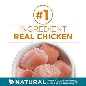 Purina ONE Dry Cat Food Tender Selects with Real Chicken 7 lb Bag