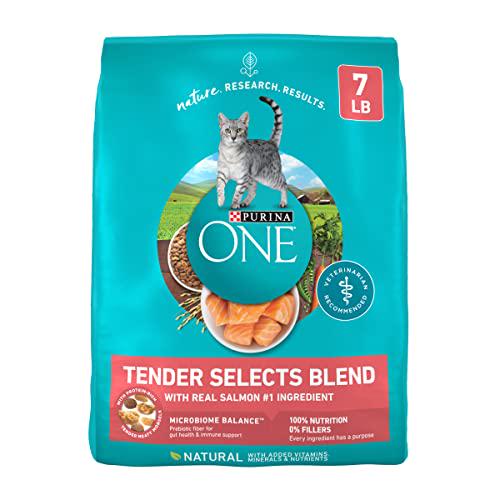 Purina ONE Dry Cat Food Tender Selects Blend with Real Salmon for Adult Cats 7 lb Bag