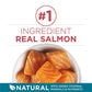 Purina ONE Tender Selects Cat Food, Real Salmon, 16 lb Bag, Natural Dry Food with Protein