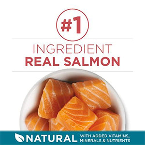 Purina ONE Tender Selects Cat Food, Real Salmon, 16 lb Bag, Natural Dry Food with Protein