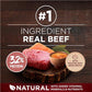 Purina ONE True Instinct dog food 27.5 lb bag with real beef and salmon plus bone broth vitamins and minerals