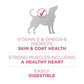 Purina One Sensitive Skin and Stomach Dry Dog Food 31.1 lb Bag Chicken Formula with Coat Support