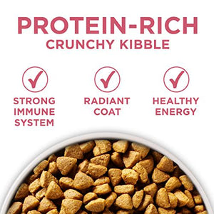 Purina One Sensitive Skin and Stomach Dry Dog Food 31.1 lb Bag Chicken Formula with Coat Support