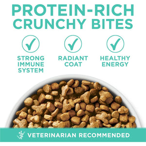 Purina ONE Dry Cat Food for Sensitive Stomach and Skin 7 lb Bag Natural Formula