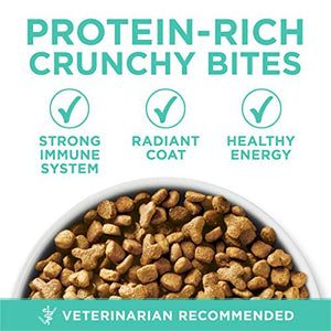 Purina ONE Sensitive Skin & Stomach Cat Food, 3.5?lb Bag, Natural Dry Formula, Healthy Digestion Support