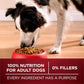 Purina ONE True Instinct Dog Food, Real Turkey & Venison, 7.4 lb Bag, High Protein Kibble