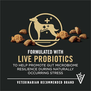 Purina Pro Plan Dog Food Shredded Blend Beef & Rice with Probiotics 35 lb Bag