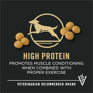 Purina Pro Plan Large Breed Dry Dog Food, High Protein Chicken & Rice Formula, 47 lb Bag