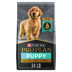 Purina Pro Plan puppy food 34 lb bag high protein dry dog food chicken and rice formula for growth and development