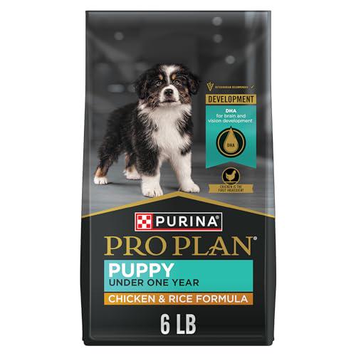 Purina Pro Plan Puppy Food 6 lb Bag High Protein Chicken and Rice Formula with DHA and Probiotics for Digestive Health