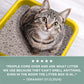 Tidy Cats Clumping Litter 16 lb Bag Free and Clean Unscented Multi Cat Formula with Odor Control for Sensitive Noses