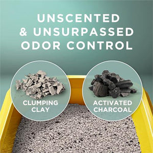 Purina Tidy Cats Free & Clean Unscented Cat Litter, 38?lb Box, Multi?Cat Formula, Easy Clumping & Low Dust