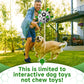 Qdan Dog Soccer Ball Toy 6 Inch Interactive Tug Toy with Straps Water Toy Birthday Gift for Small Medium Dogs
