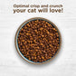 Rachael Ray Nutrish Indoor Complete Cat Food, Chicken, Lentils & Salmon, 6 lb Bag