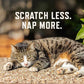 Rocco and Roxie Allergy Relief Cat Supplements Probiotics Fish Oil for Sneezing Itching Seasonal Support