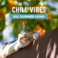 Rocco and Roxie Cat Calming Chews with Melatonin for Stress Relief Sleep Aid Grooming Vet Visits Chicken Flavor