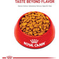 Royal Canin Indoor Adult Cat Food, Dry Kibble for Indoor Cats, 7 lb Bag, Feline Health Nutrition