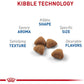 Royal Canin Indoor Adult Cat Food, Dry Kibble for Indoor Cats, 7 lb Bag, Feline Health Nutrition