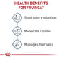 Royal Canin Indoor Dry Cat Food 15 lb Bag Adult Formula for Hairball and Odor Control