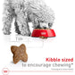 Royal Canin Small Adult Dry Dog Food Size Health Nutrition 14 lb Bag for Small Breeds