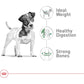Royal Canin Small Adult Dry Dog Food Size Health Nutrition 14 lb Bag for Small Breeds