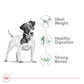 Royal Canin Small Adult Dog Food 4 lb Size Health Nutrition Dry Kibble