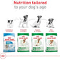 Royal Canin Small Adult Dry Dog Food Size Health Nutrition 14 lb Bag for Small Breeds