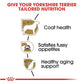 Royal Canin Yorkshire Terrier Adult Dog Food 10 lb Dry Formula Supports Coat and Digestive Health