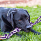 Sharlovy 9 Piece Dog Rope Chew Toy Set Durable Cotton Dental Toys for Medium Dogs and Large Breeds