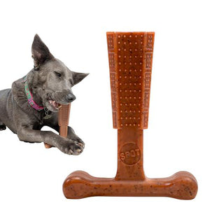 Spot Bam Bones Plus T Bone Dog Chew 6 Inch Beef Flavor for Aggressive Chewers and Puppies Under 60 lbs